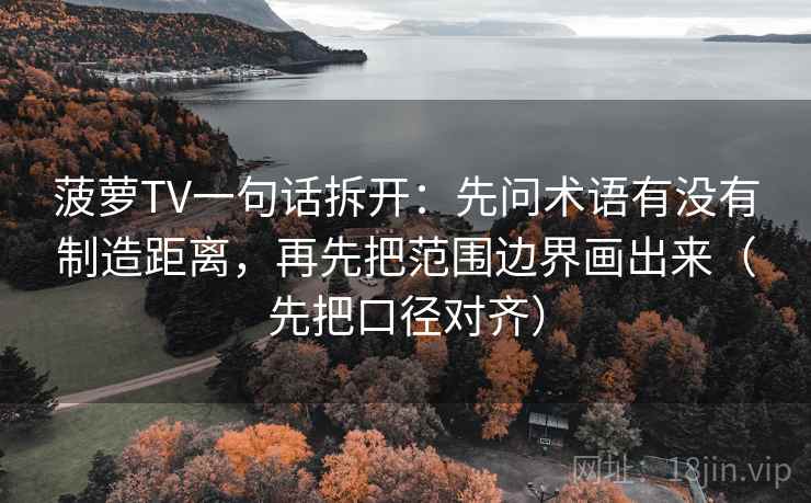 菠萝TV一句话拆开：先问术语有没有制造距离，再先把范围边界画出来（先把口径对齐）